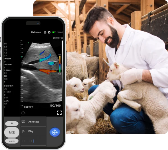 veterinary-software.png__PID:a9e7e18d-ebbd-4cc7-b54a-a540d27529d7